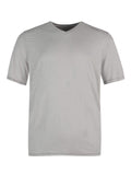 Men's Classic V-Neck Tee