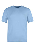 Men's Classic V-Neck Tee